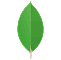 Logo de MongoDB